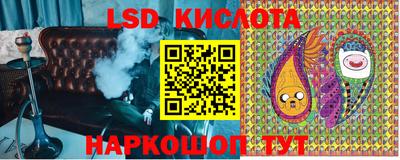 a pvp Обь
