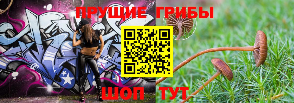 Псилоцибиновые грибы GOLDEN TEACHER Северск